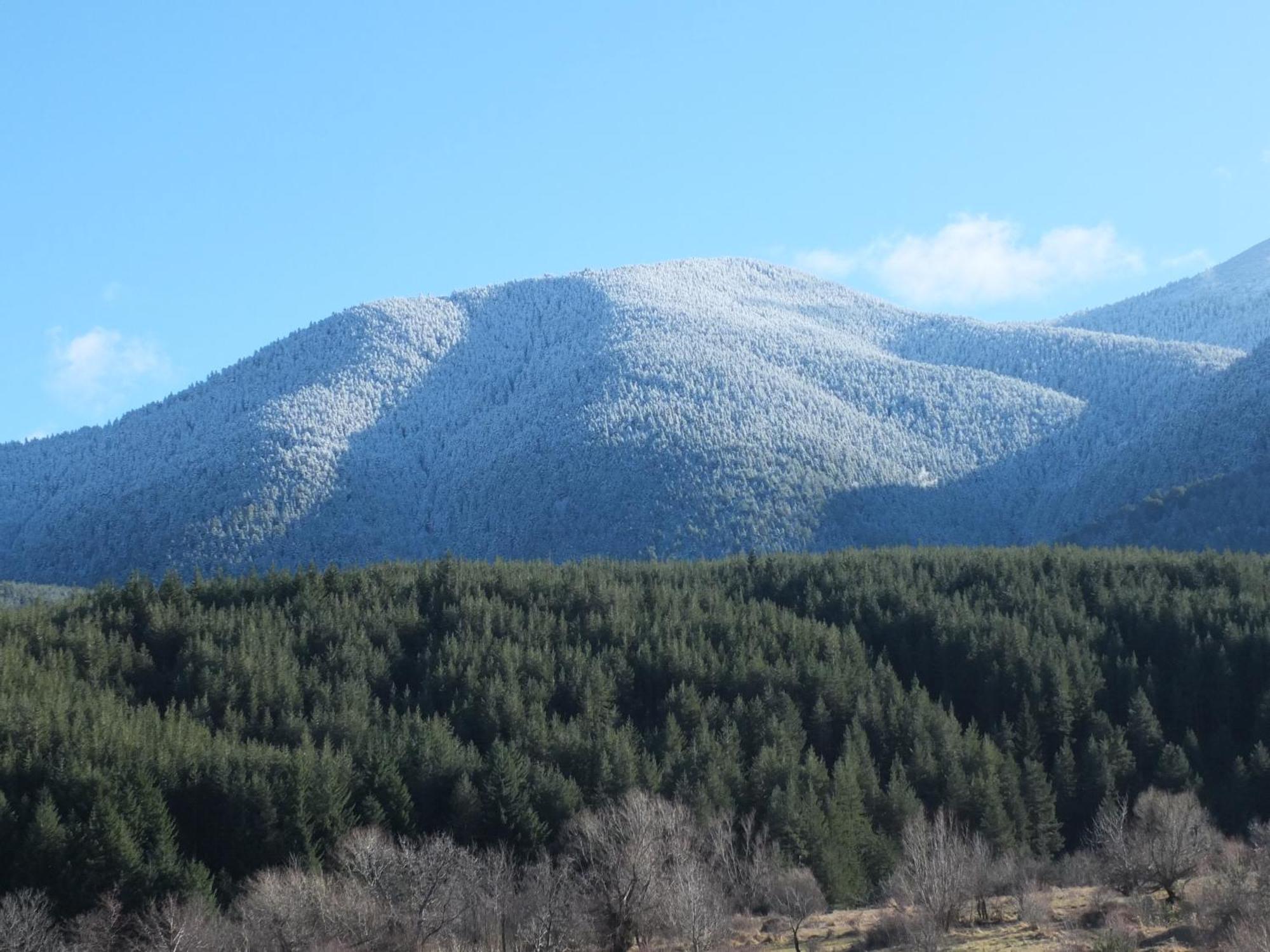 Pirin Heights A-21 Близо До Ски Пистата Банско Экстерьер фото
